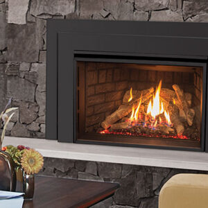 EX35 Gas Fireplace Insert