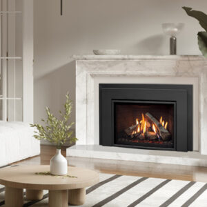 Ri30 Gas Fireplace Insert