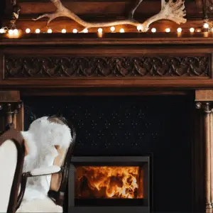 Stûv6 Wood Burning Fireplace Insert
